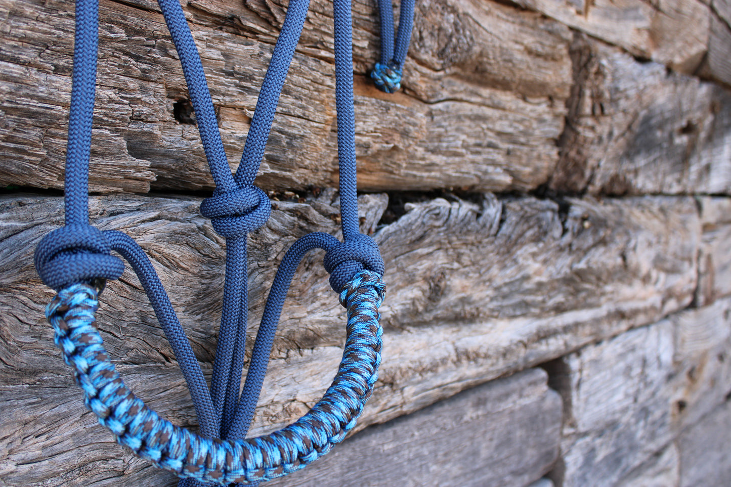Blue & Brown Halter