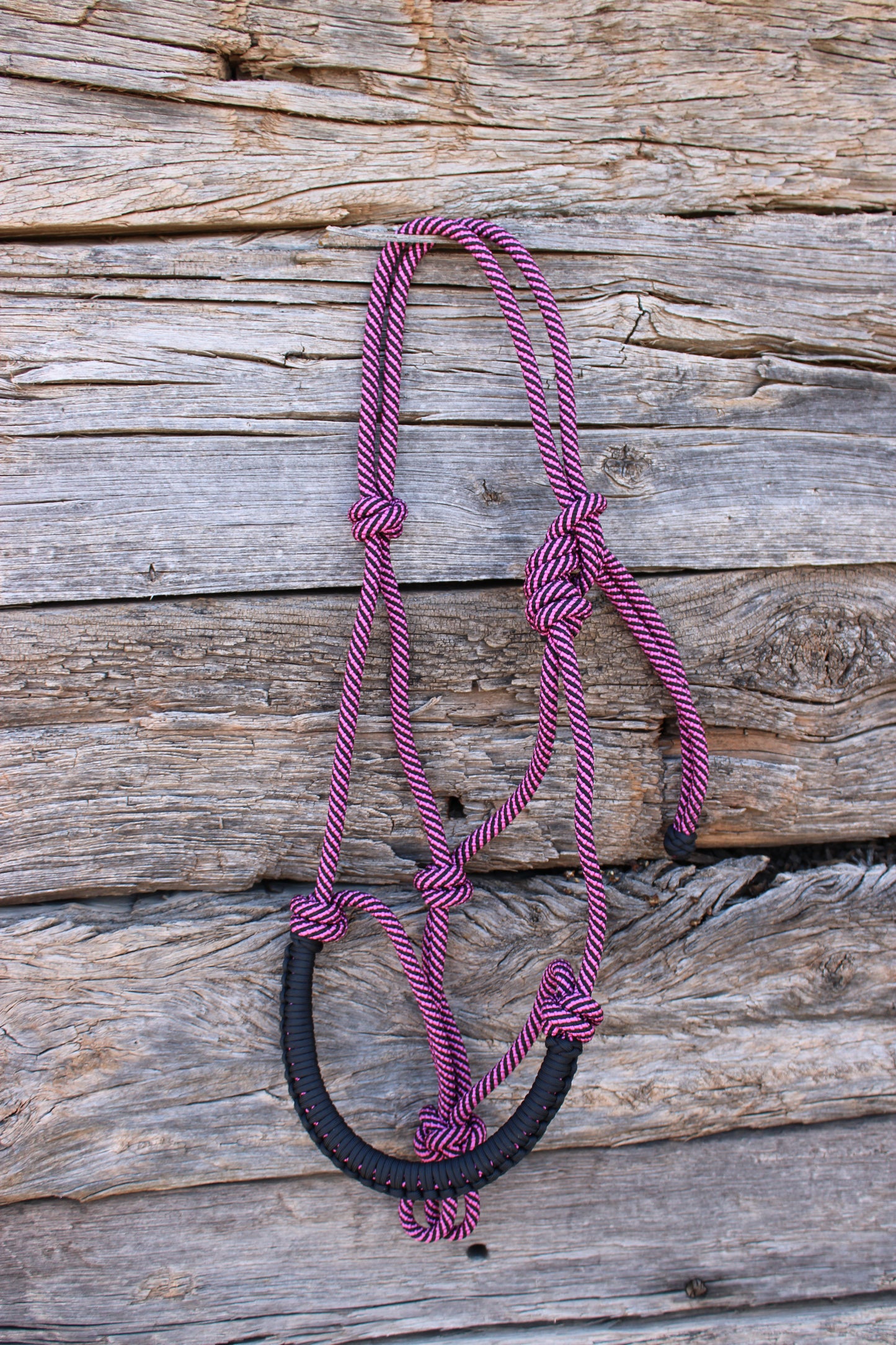 Fuchsia & Black Halter