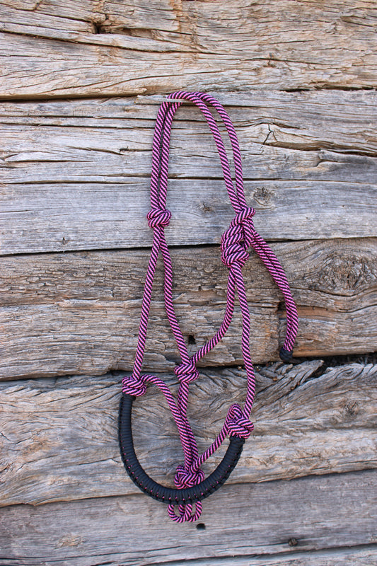 Fuchsia & Black Halter