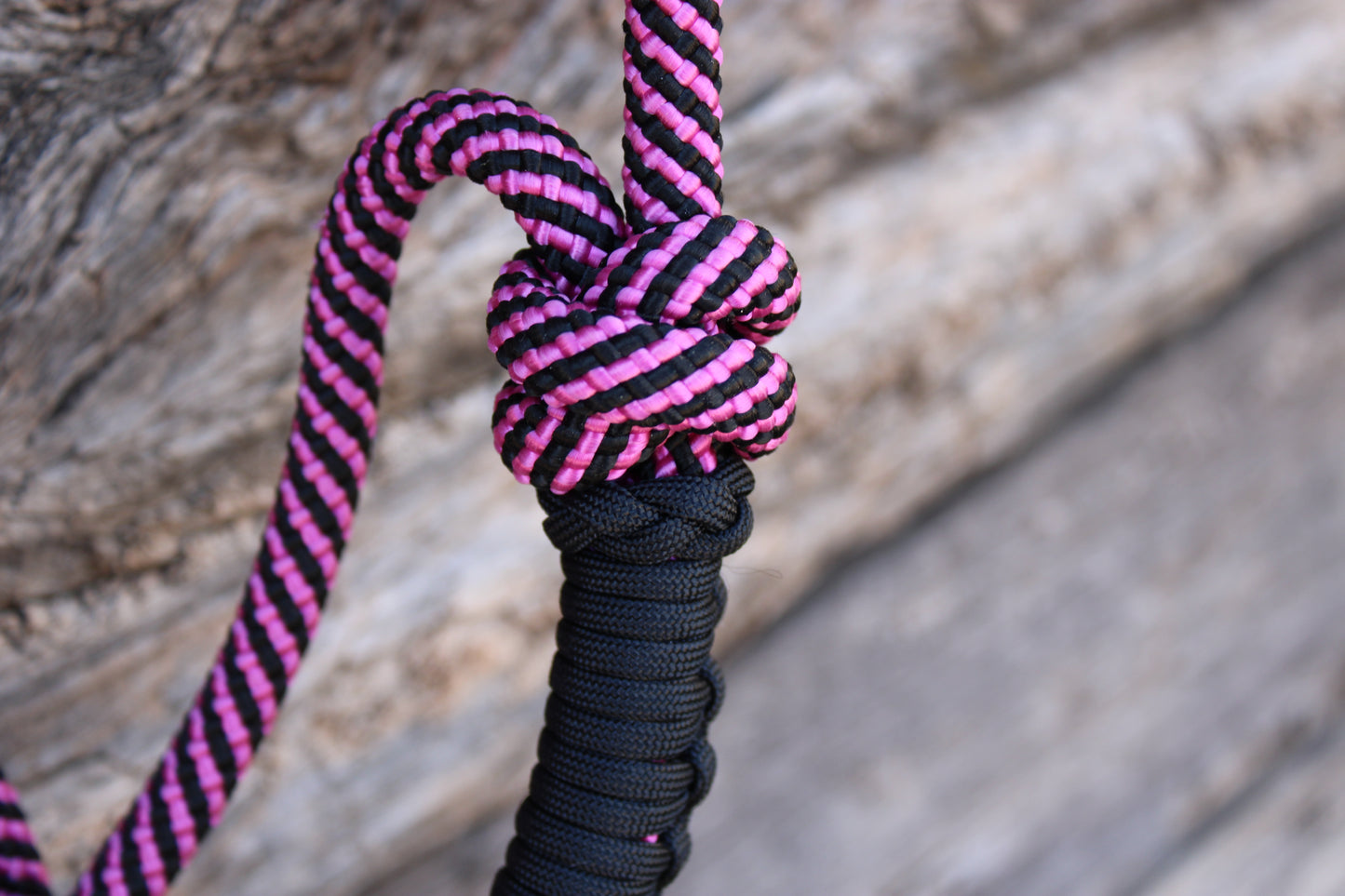 Fuchsia & Black Halter