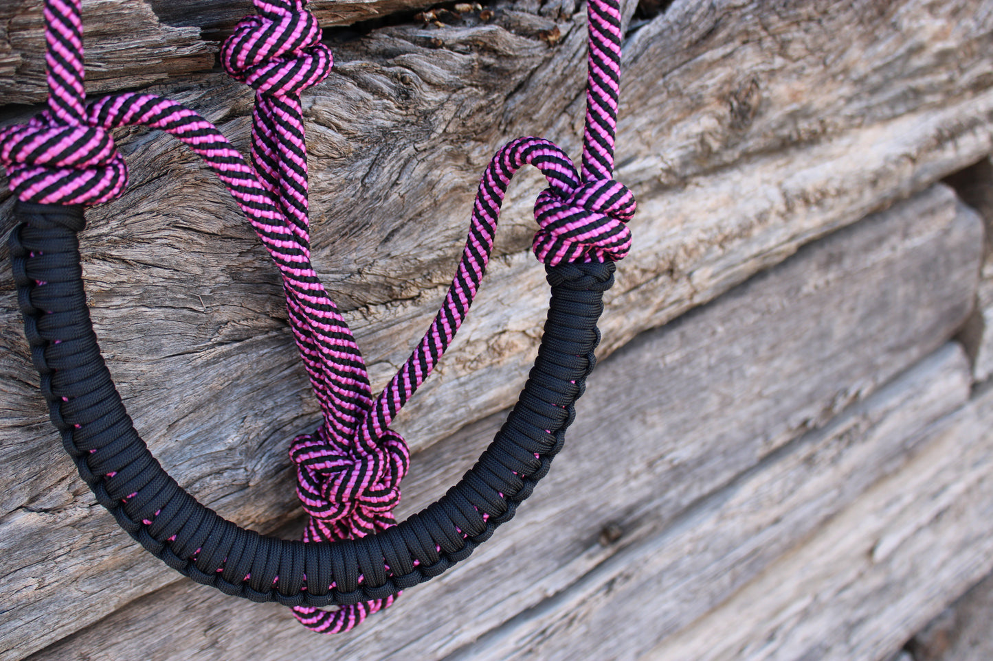 Fuchsia & Black Halter