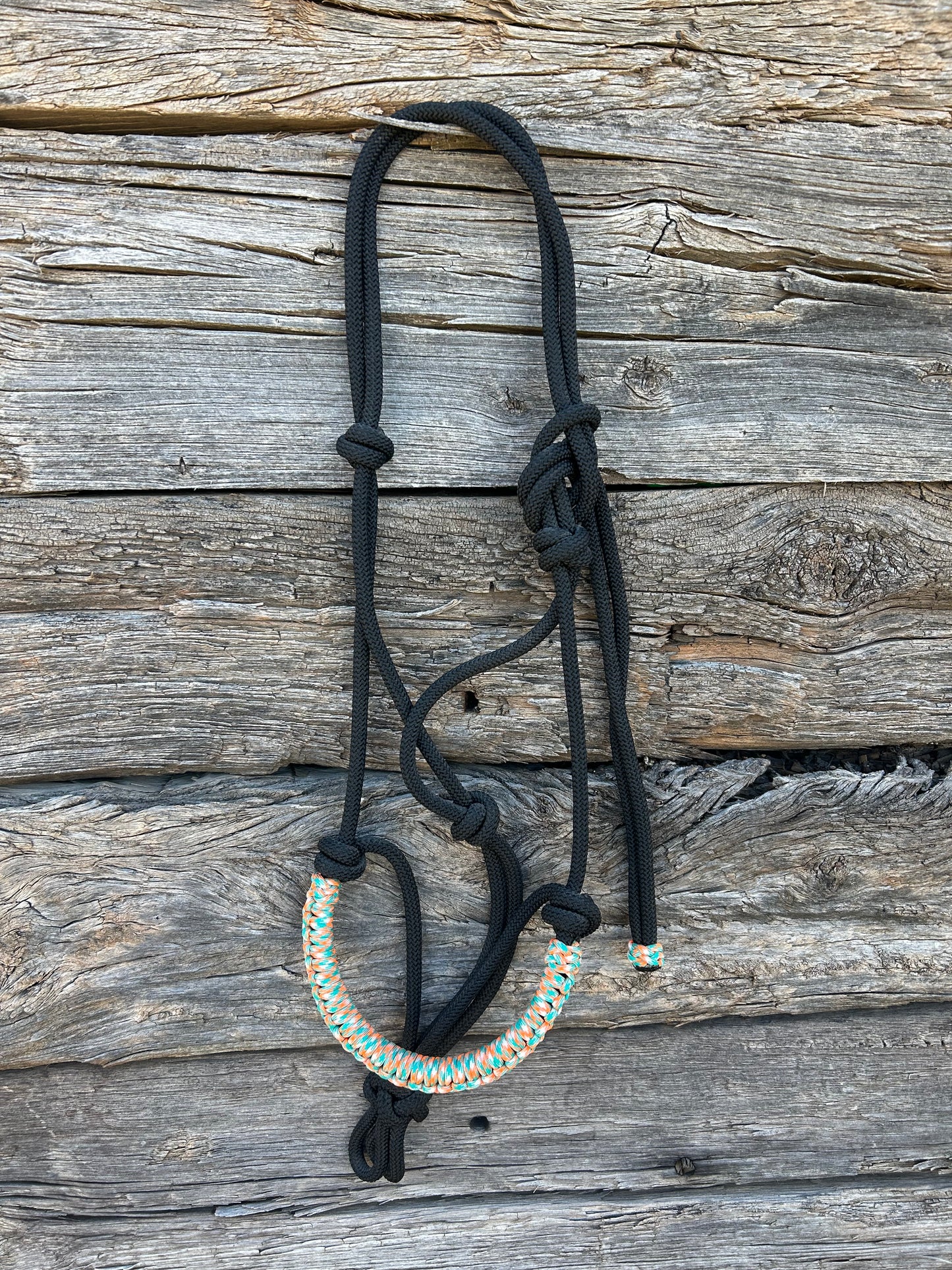 Turquoise, Orange, White & Black Halter