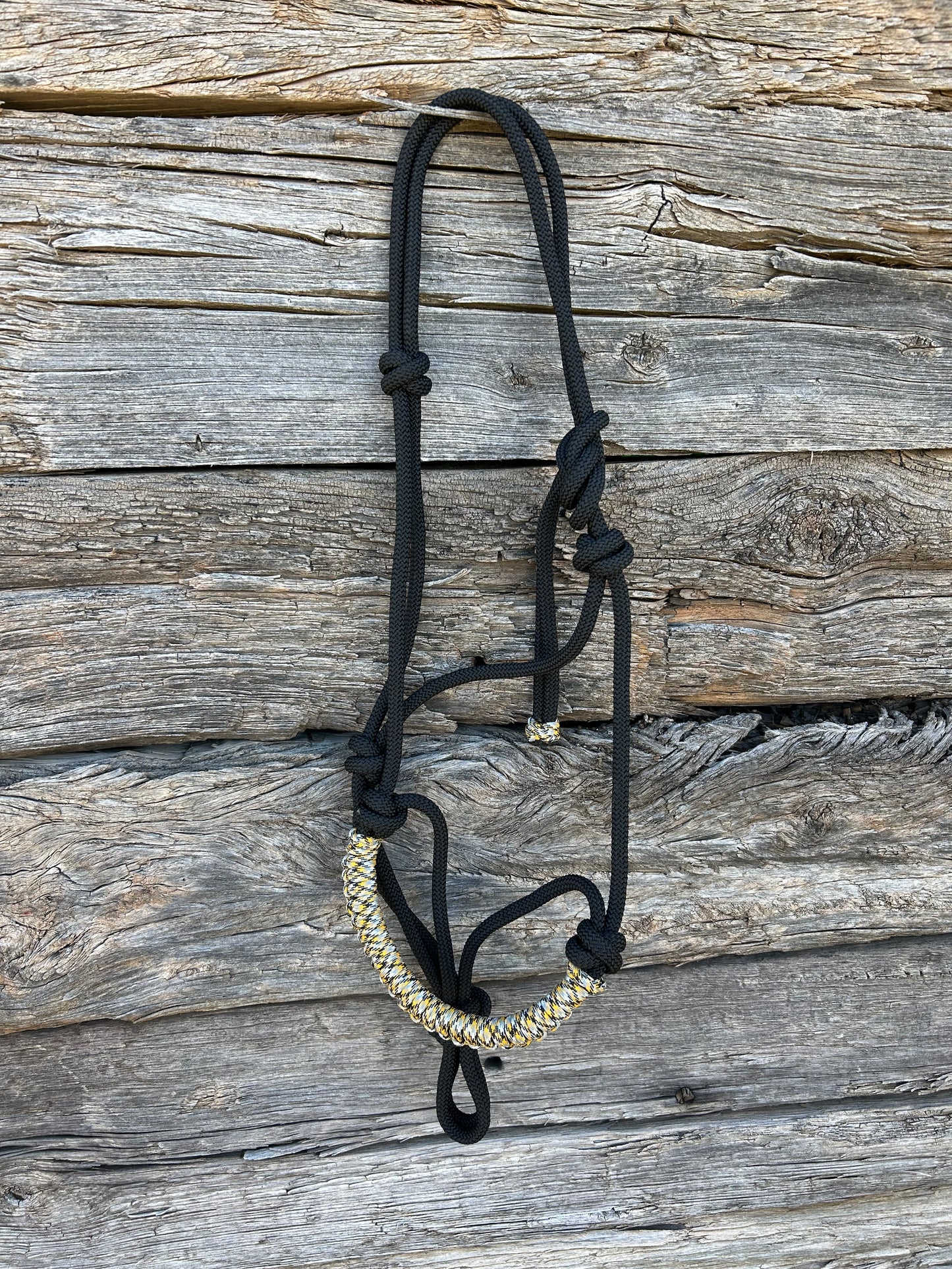 FHSU Halter