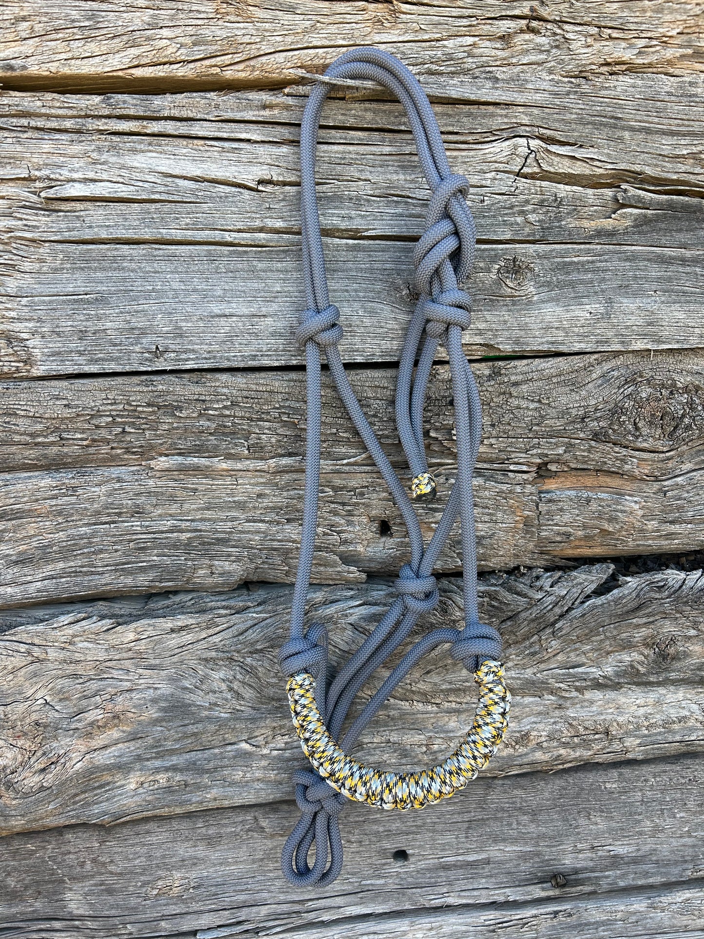 FHSU Halter