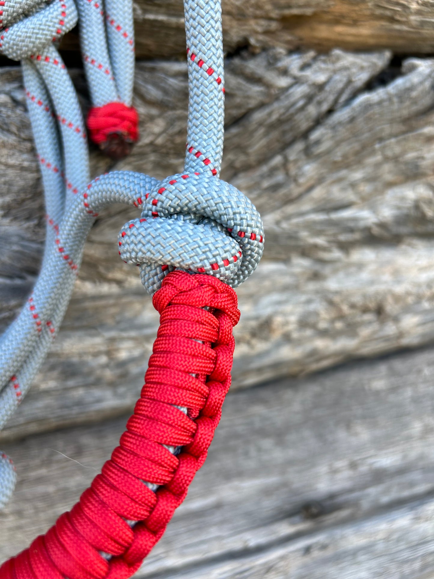 Grey & Red Halter