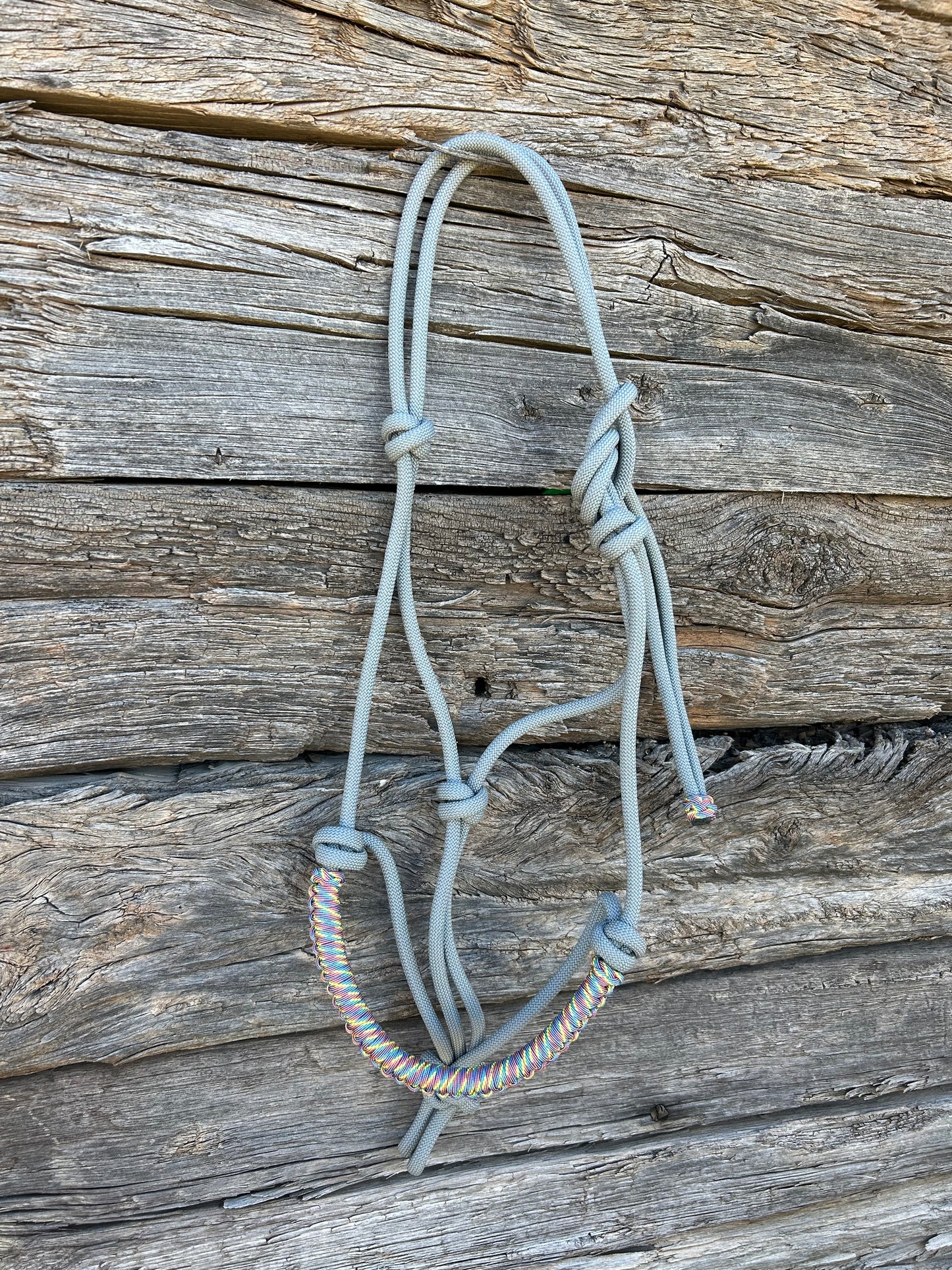 Grey & Rainbow Halter